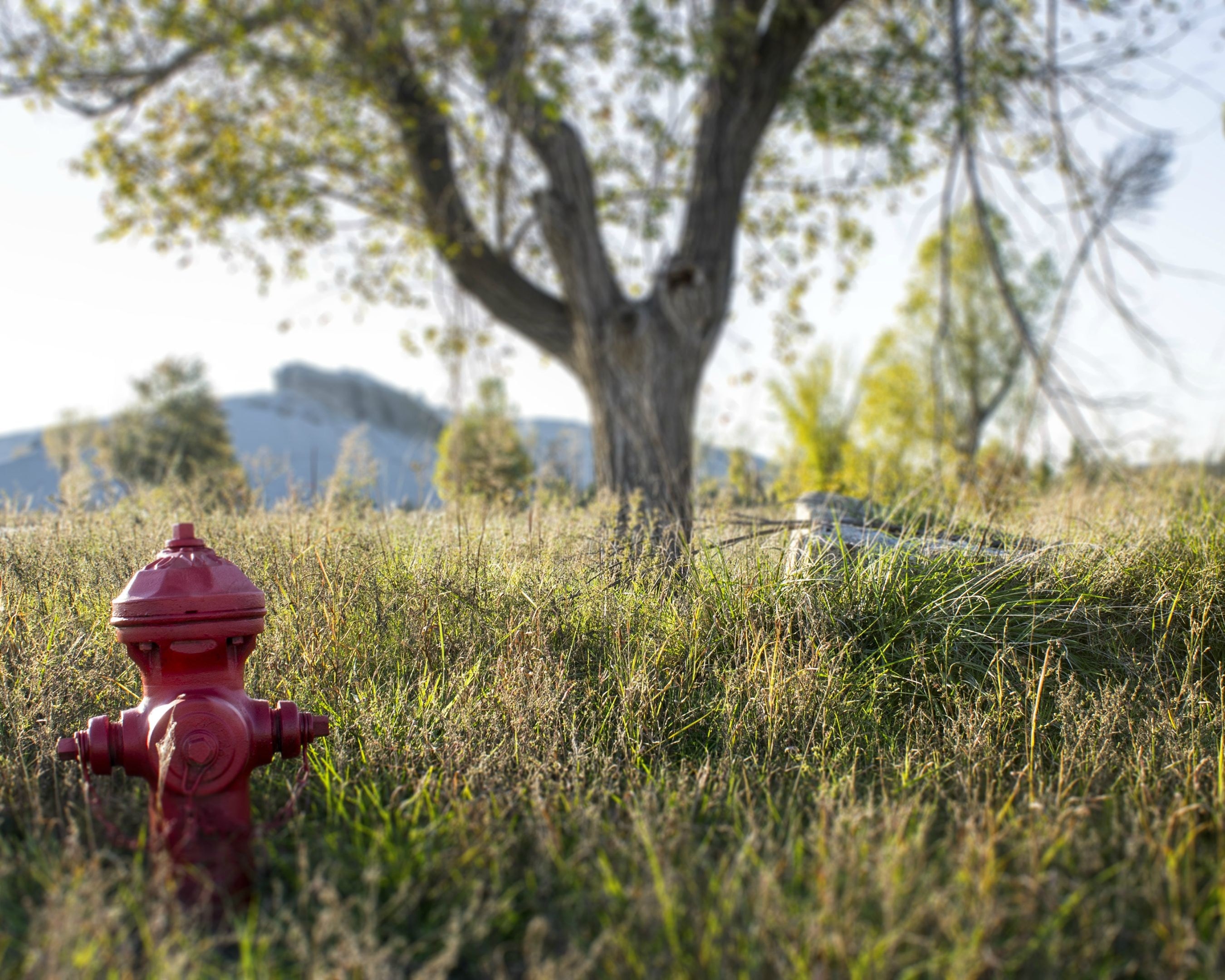 red metal fire hydrant