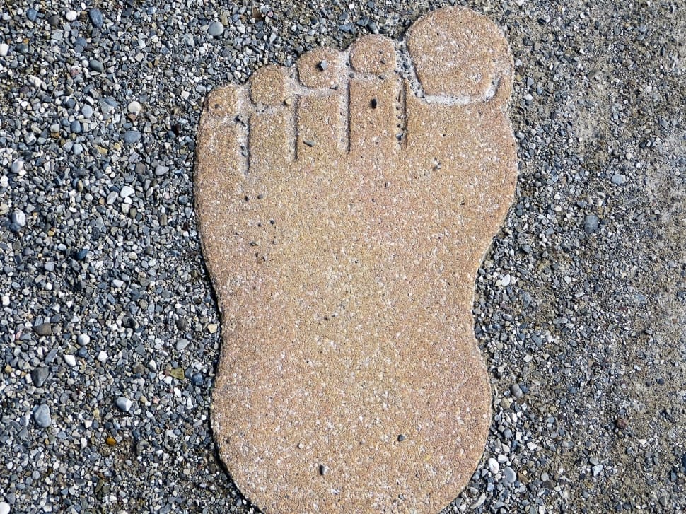foot print stepping stone preview
