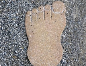foot print stepping stone thumbnail