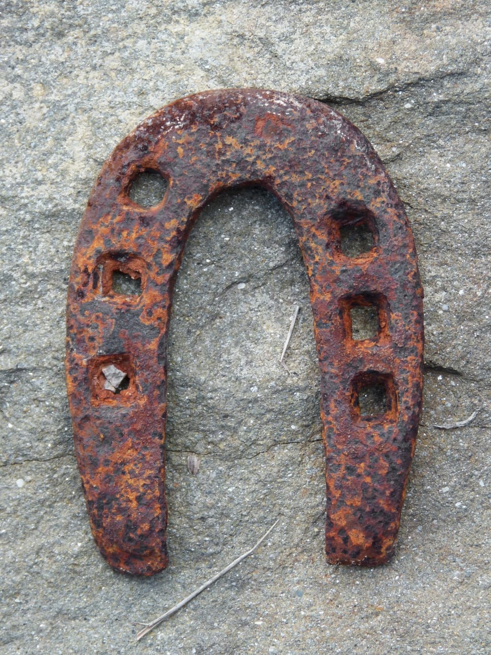 brown steel horse shoe preview