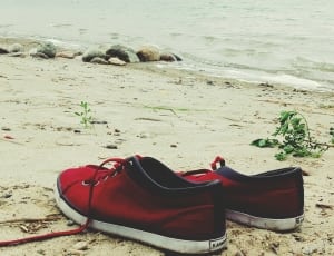 pair of red and black low top sneakers thumbnail