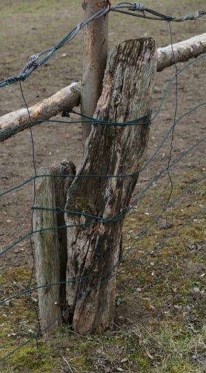 green metal fence with wooden poles thumbnail