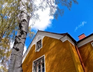 brown and white concrete house beside tree at daytime thumbnail