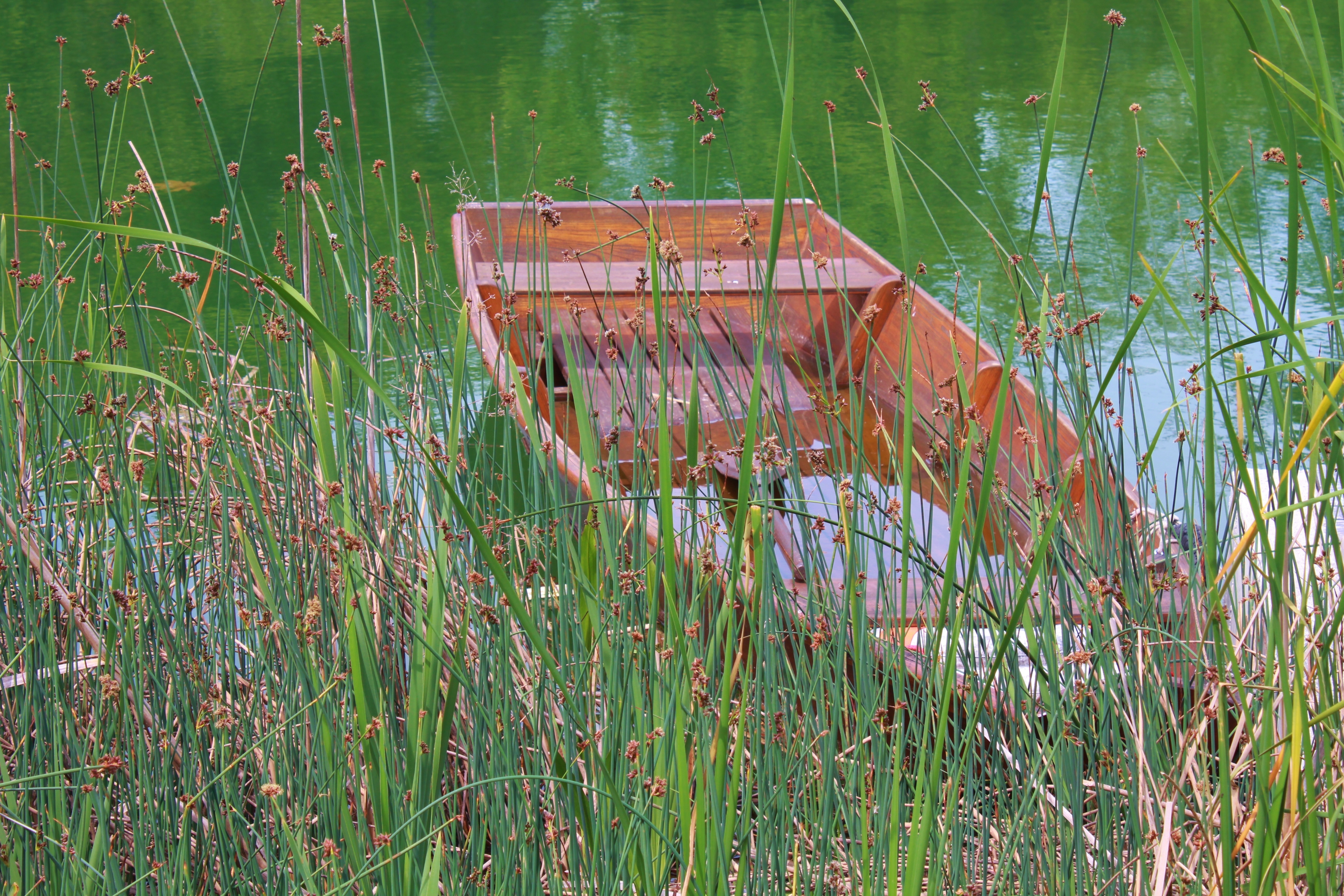 brown wooden boat