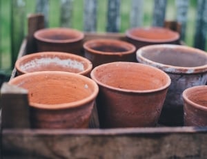 clay pots in crate thumbnail