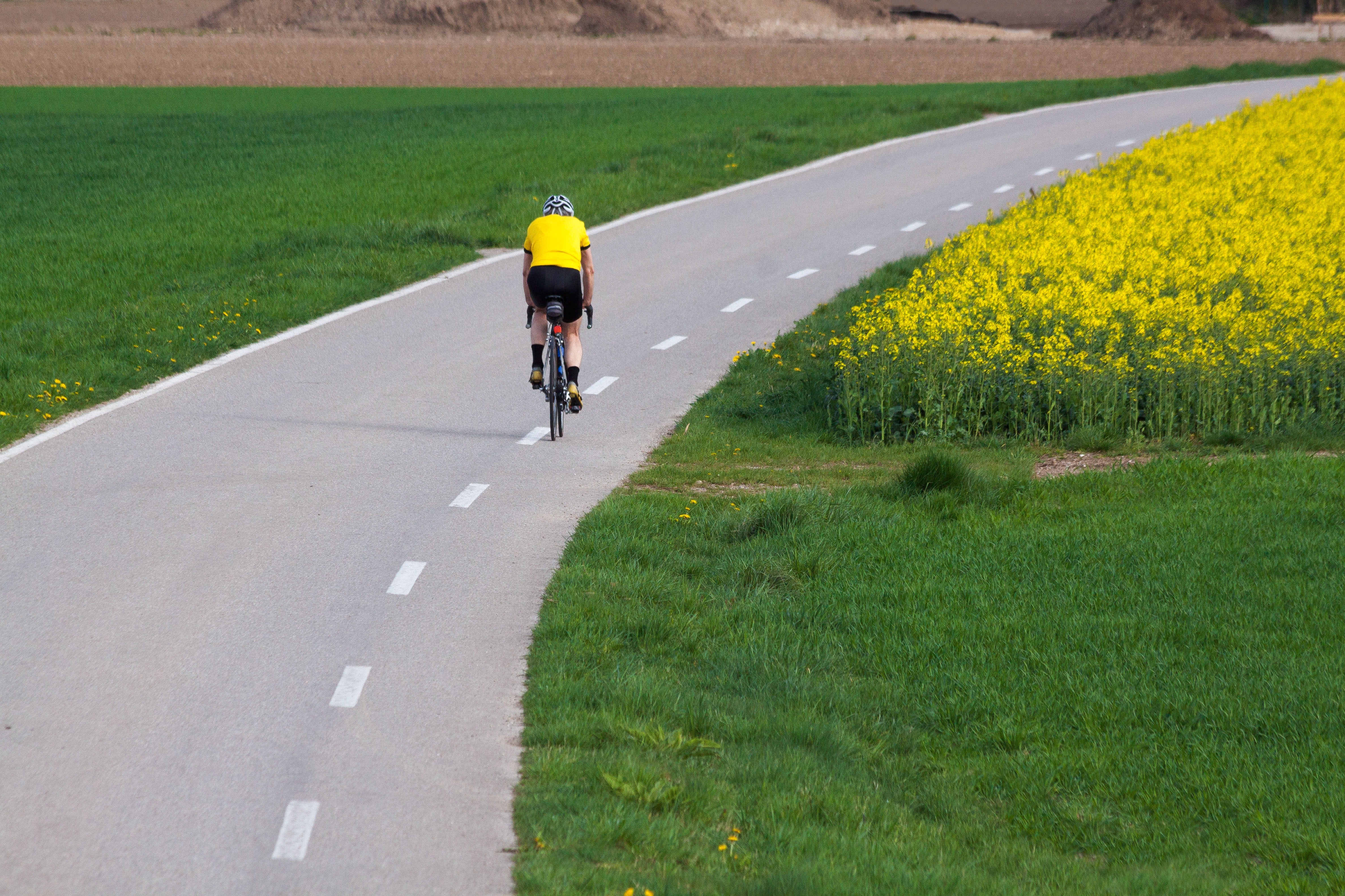 По какой стороне дороги едут велосипедисты. Велосипед на дороге. Велосипедист. Велосипедист едет. Велосипед едет по дороге.