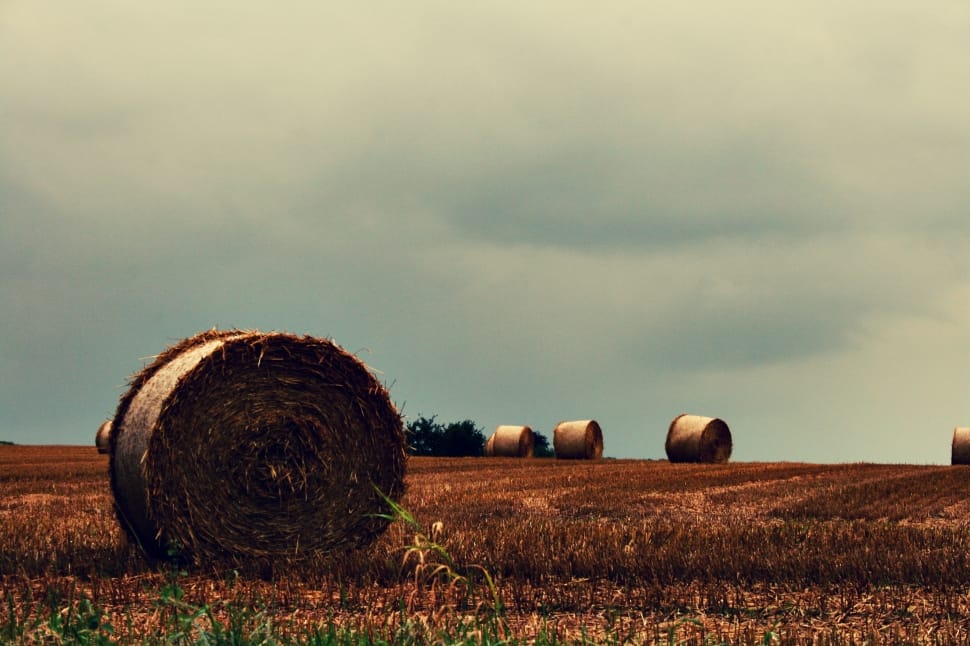 photo of 6 hayrolls on field under cloudy sky during daytime preview
