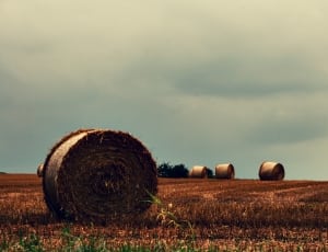 photo of 6 hayrolls on field under cloudy sky during daytime thumbnail