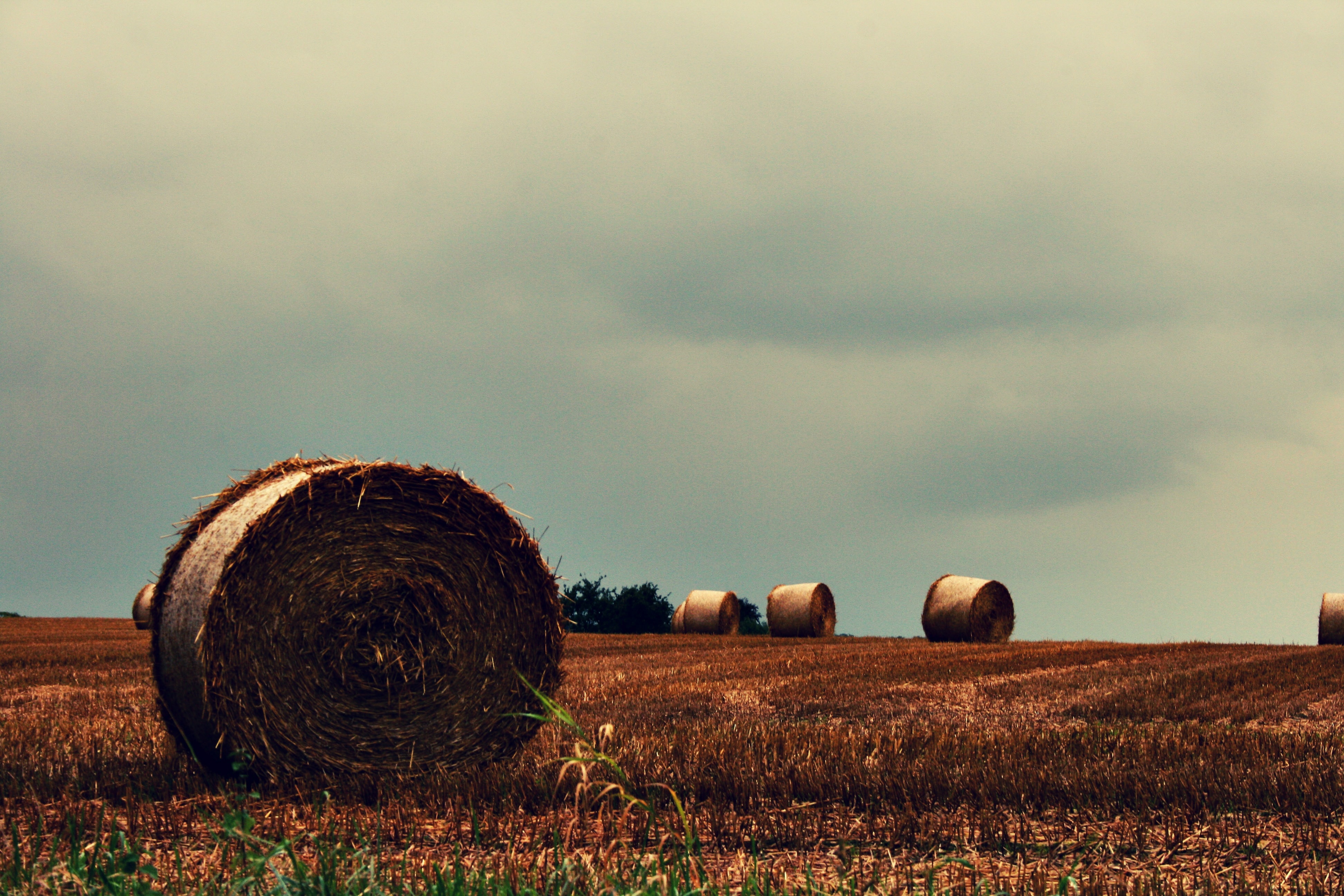 photo of 6 hayrolls on field under cloudy sky during daytime