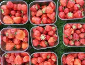 assorted strawberries in food containers thumbnail
