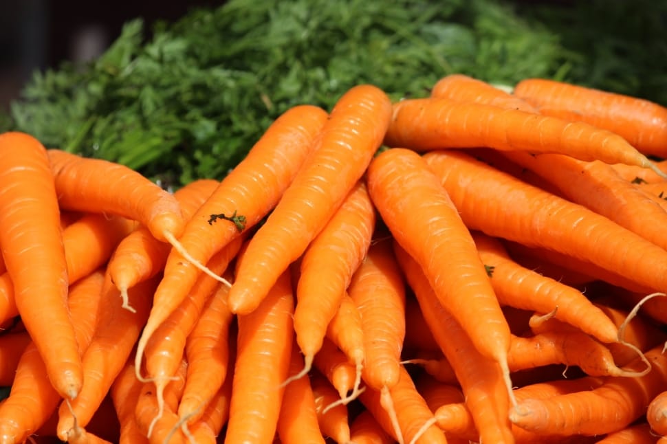 carrot lot preview