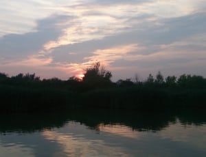 trees by water at sunset thumbnail