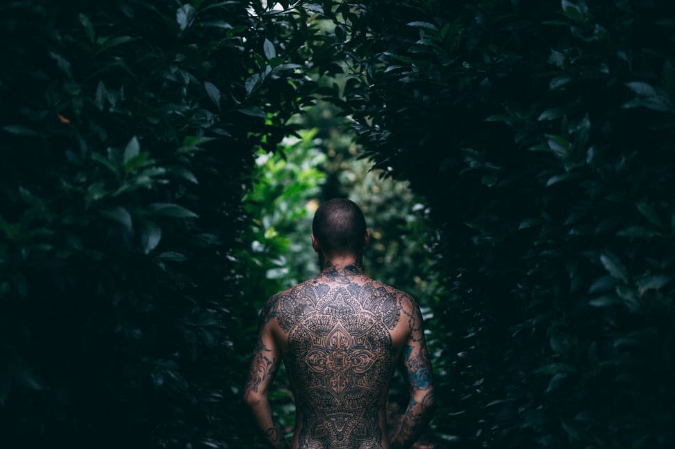 person with back tattoos between green leaf plants preview