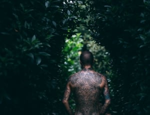 person with back tattoos between green leaf plants thumbnail