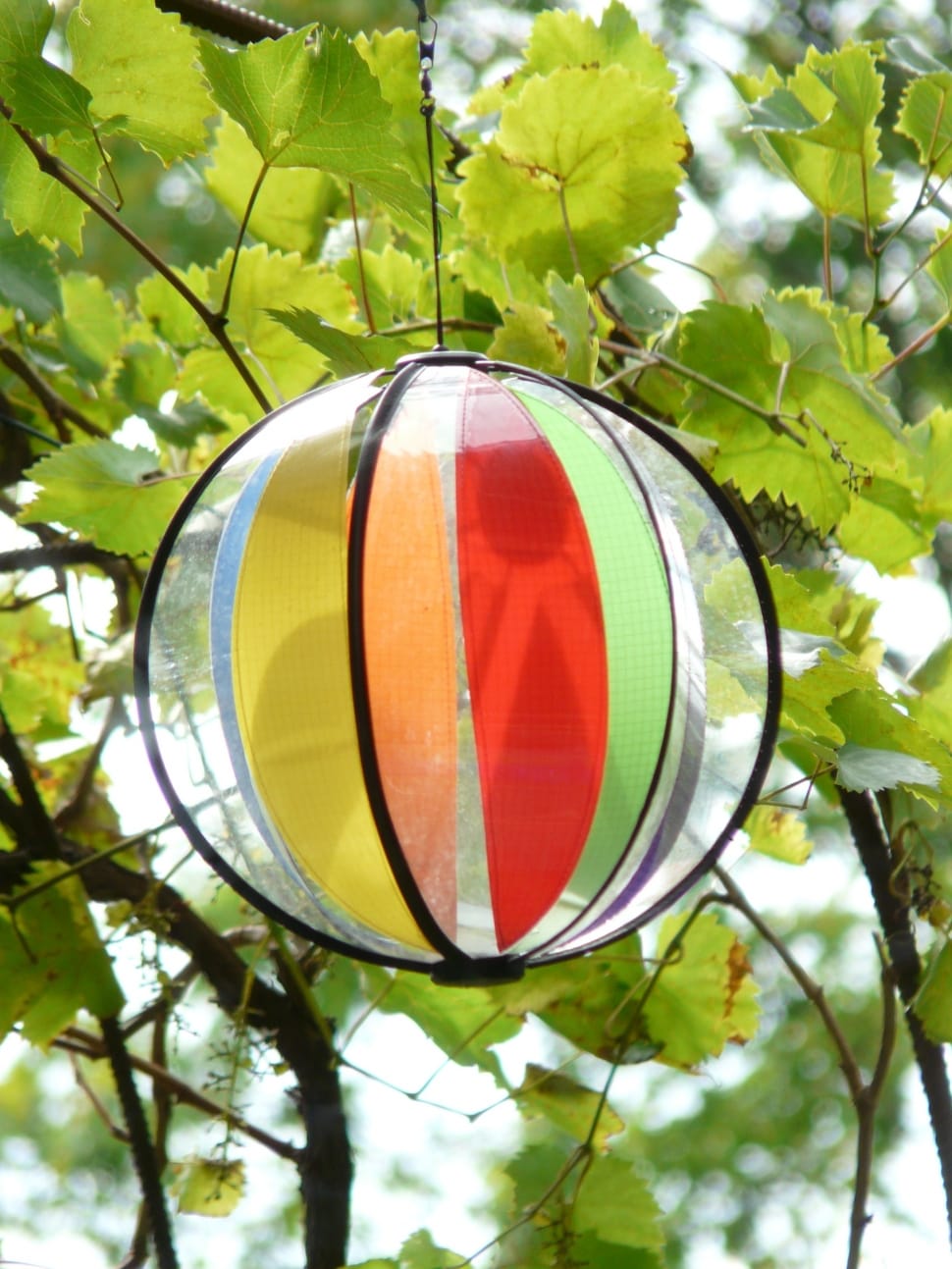 red green and orange round lamp case preview