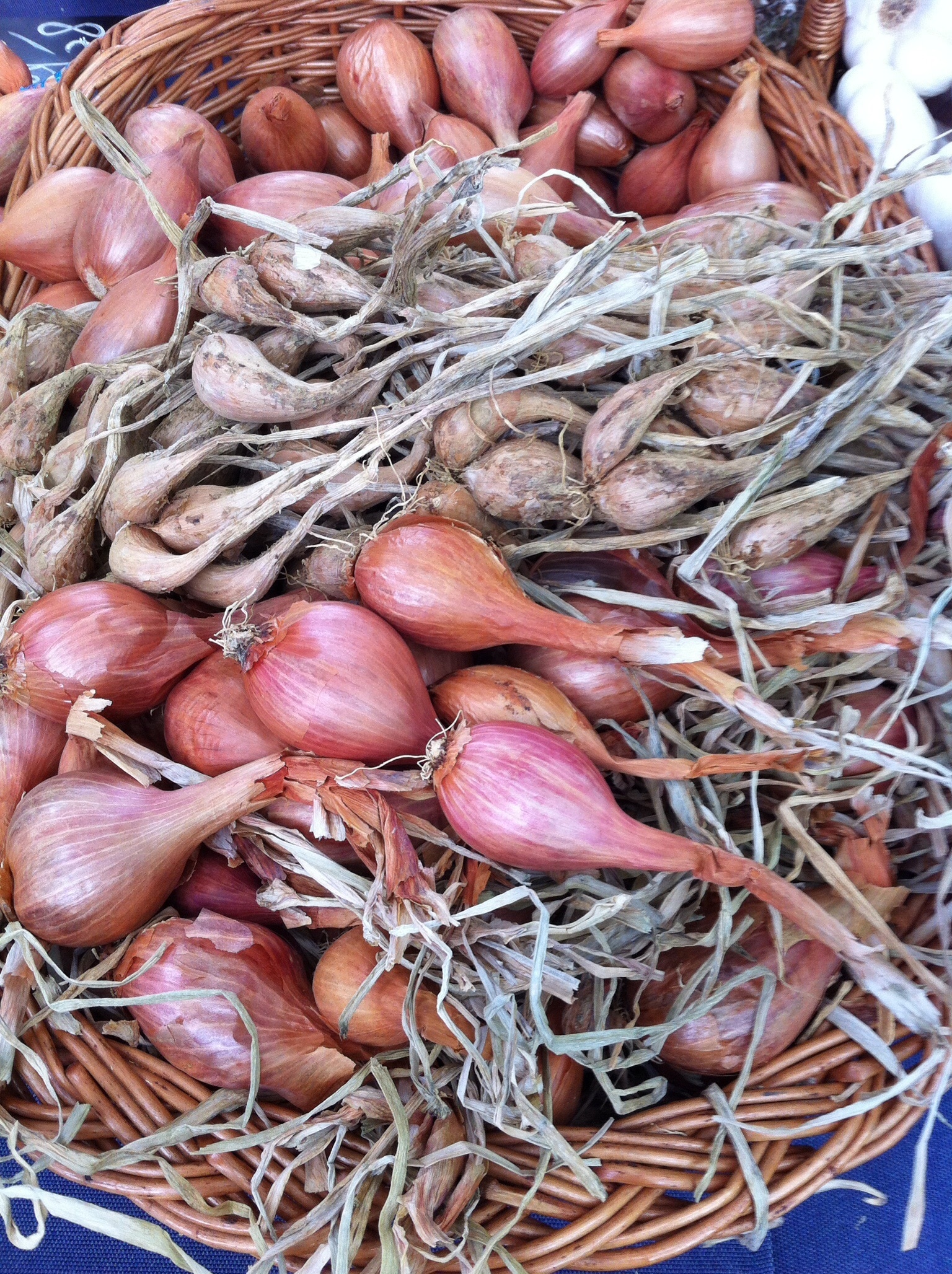 wicker basket of onion bulbs