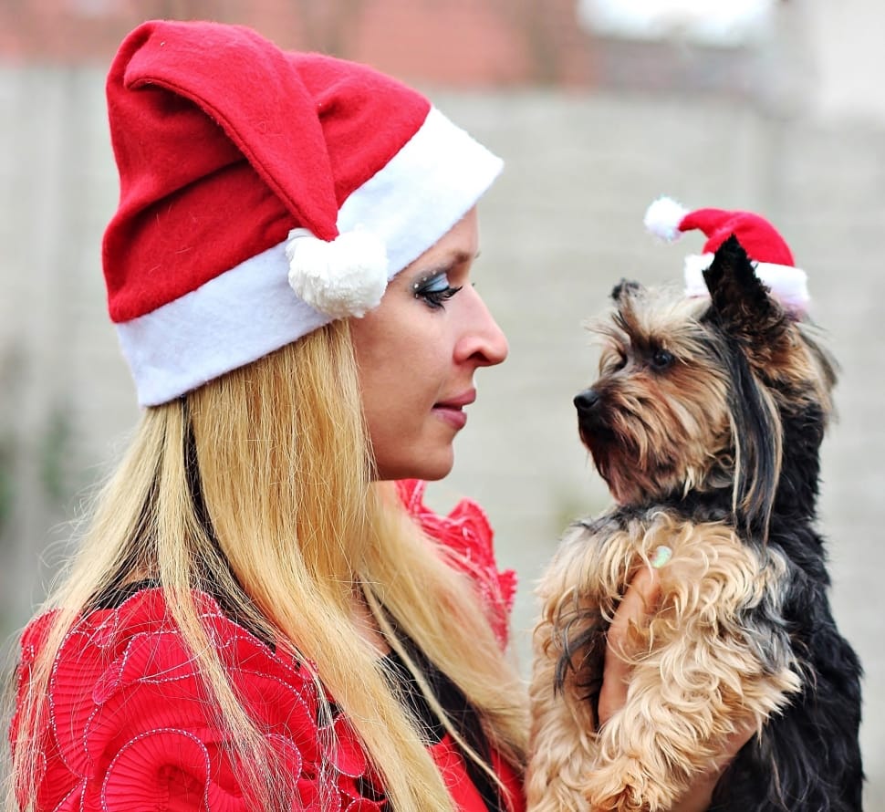 brown and black fur coated dog and women's santa outfit preview