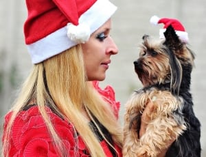 brown and black fur coated dog and women's santa outfit thumbnail