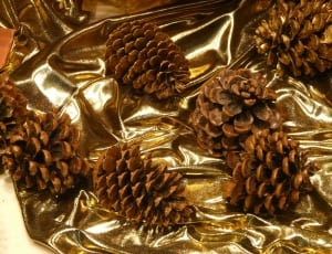 6 pine cones thumbnail