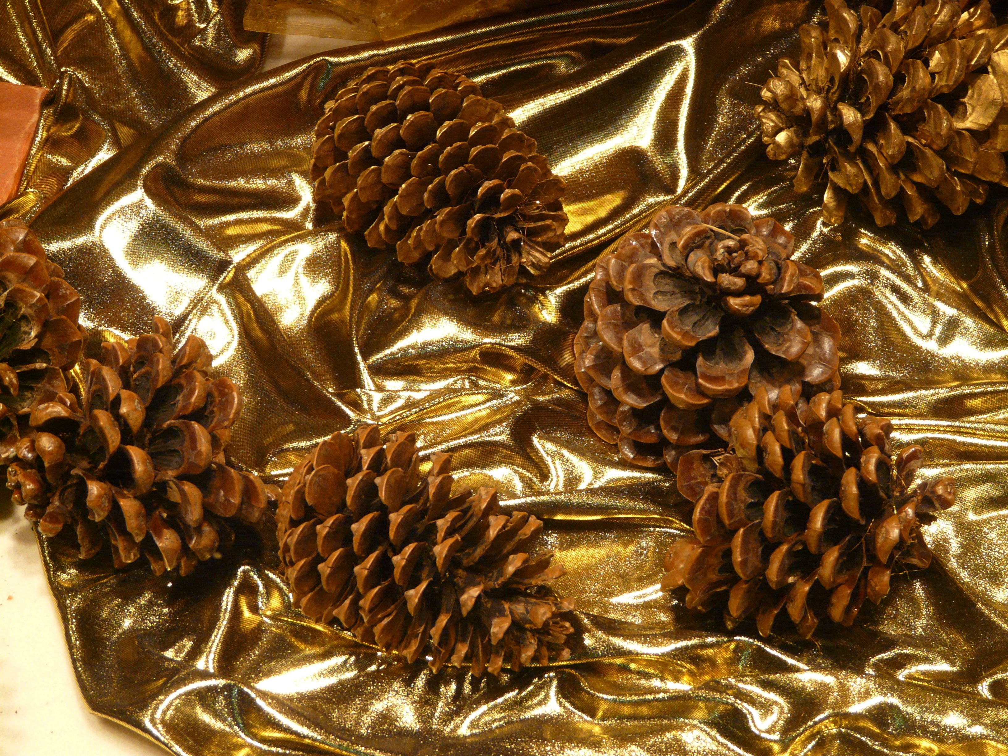 6 pine cones