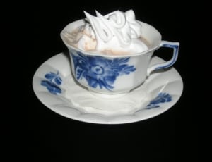 white and blue ceramic teacup and saucer thumbnail