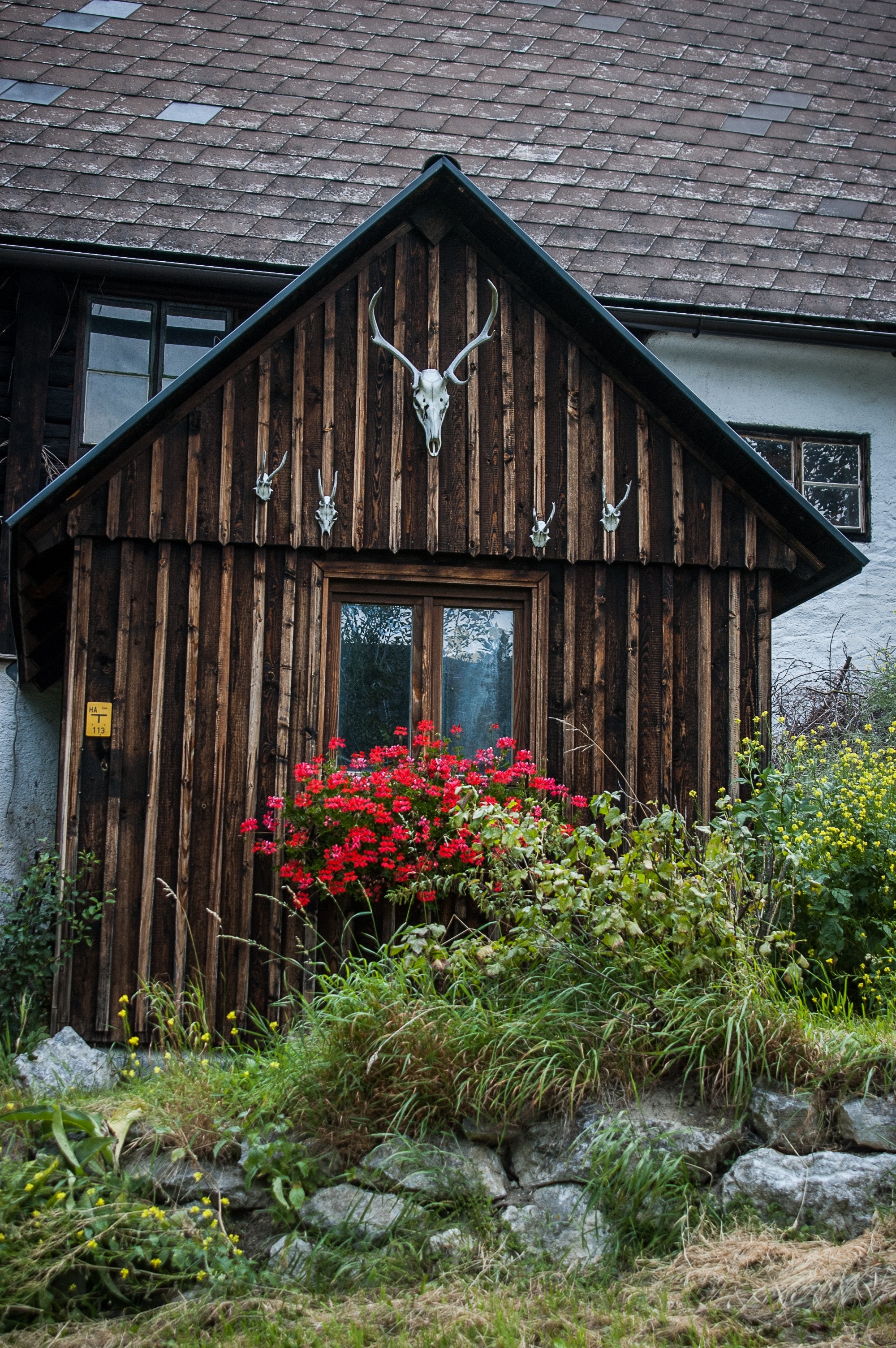 brown wooden framed shed with stag skull in front of assorted colored flower plants during daytime