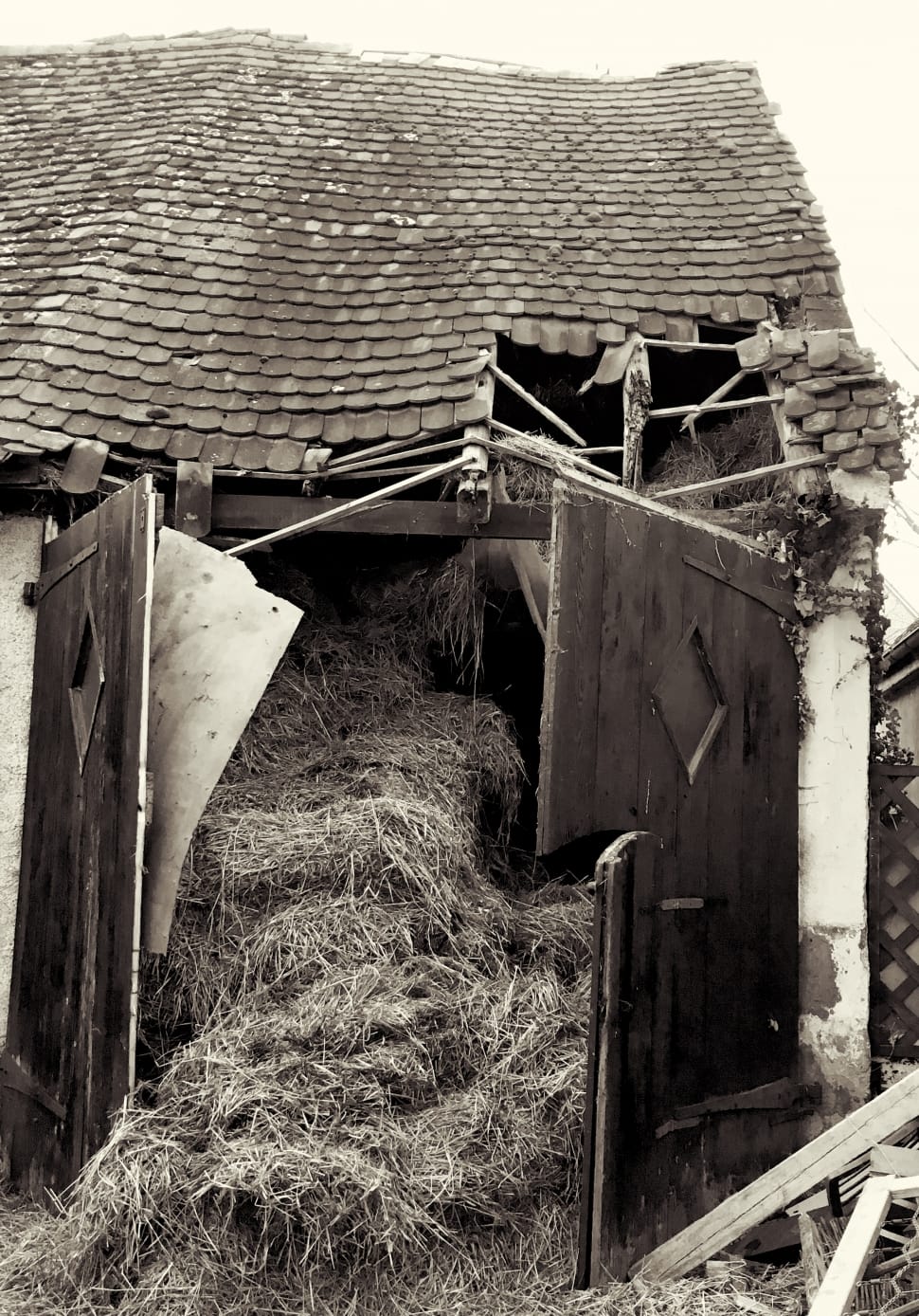 grey haystack preview