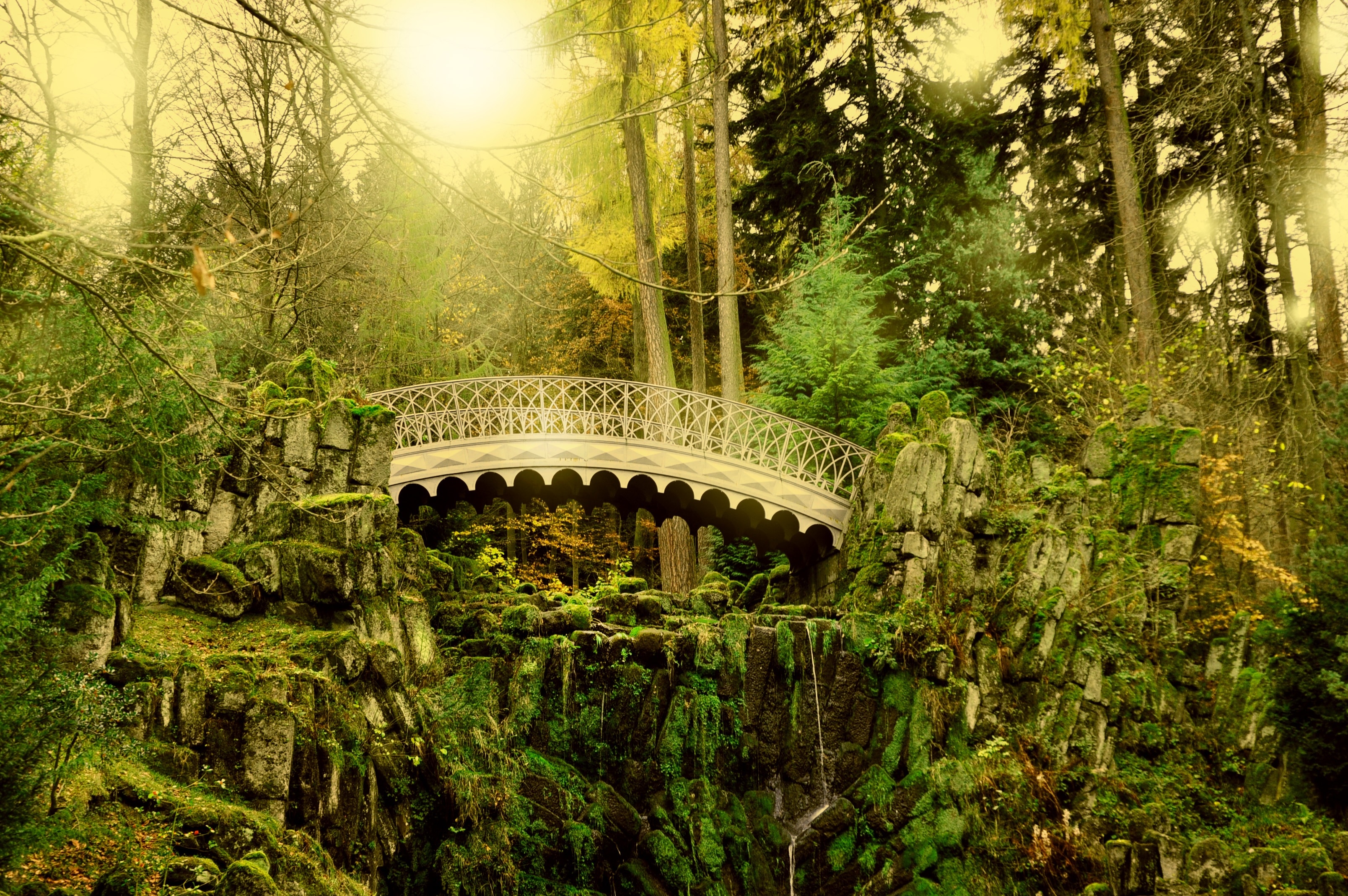 Сказочный лес мостик