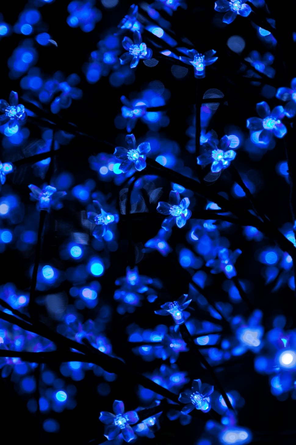 blue led floral lights preview