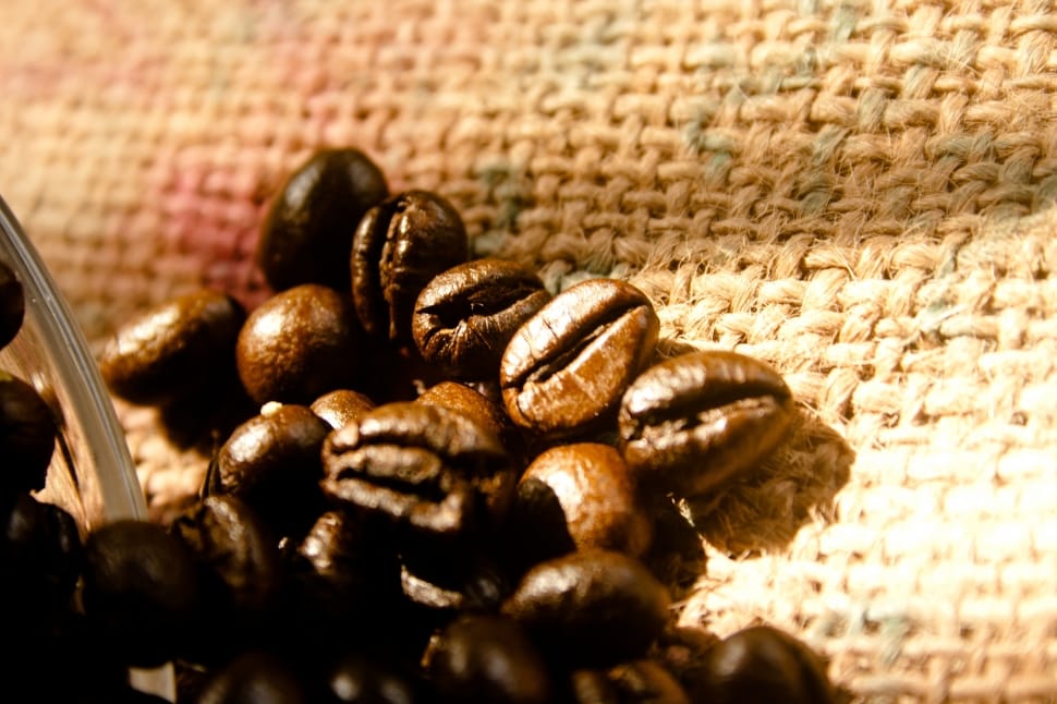 coffee beans preview