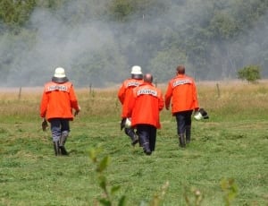 four firemen walking on green grass field thumbnail