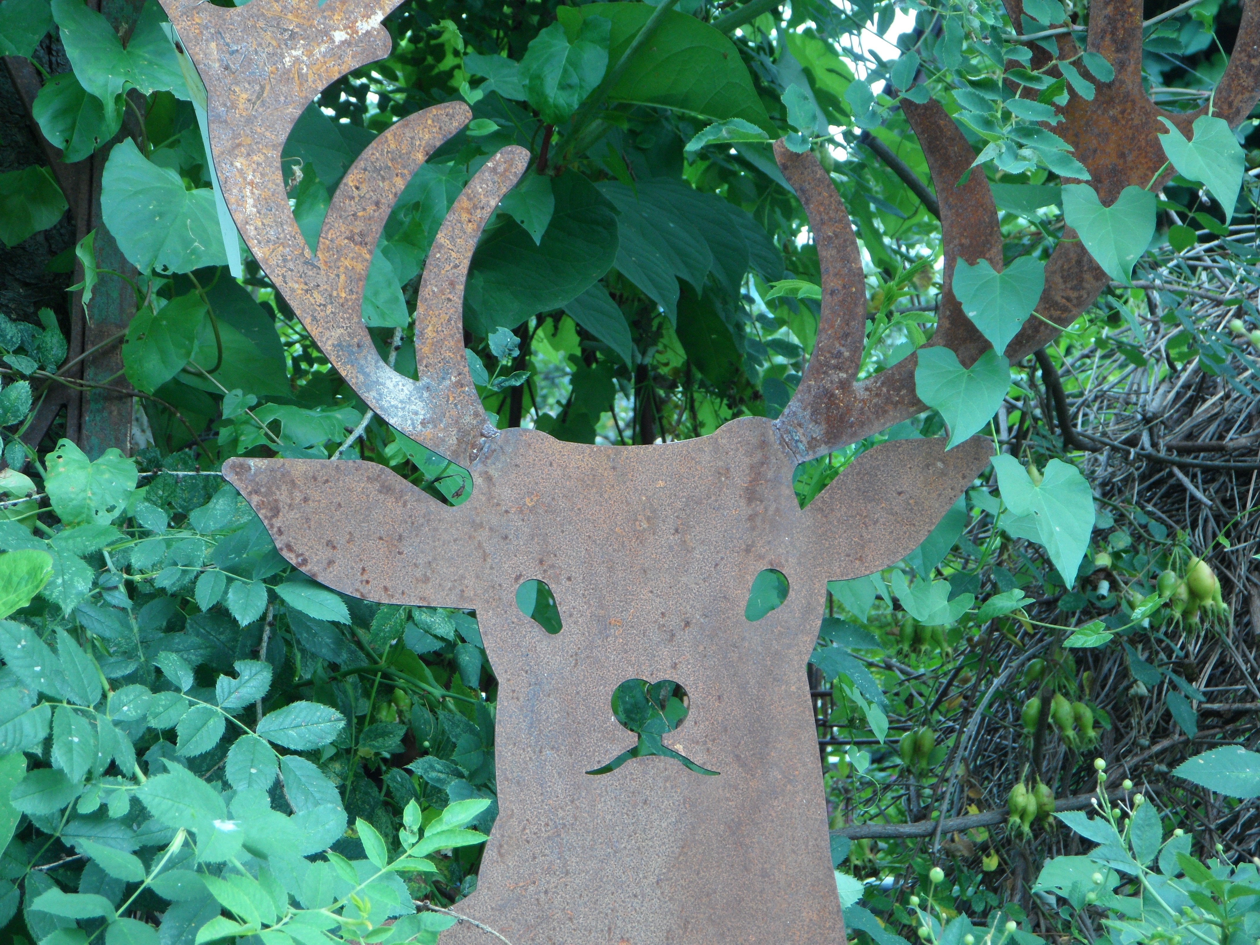 brown deer cutout
