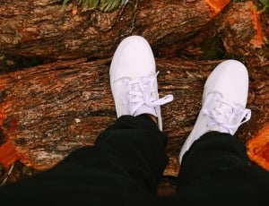 person wearing pair of white nike low top sneakers thumbnail