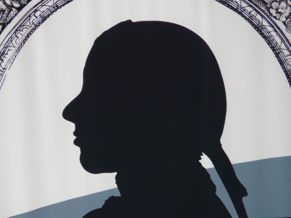silhouette of woman face logo preview
