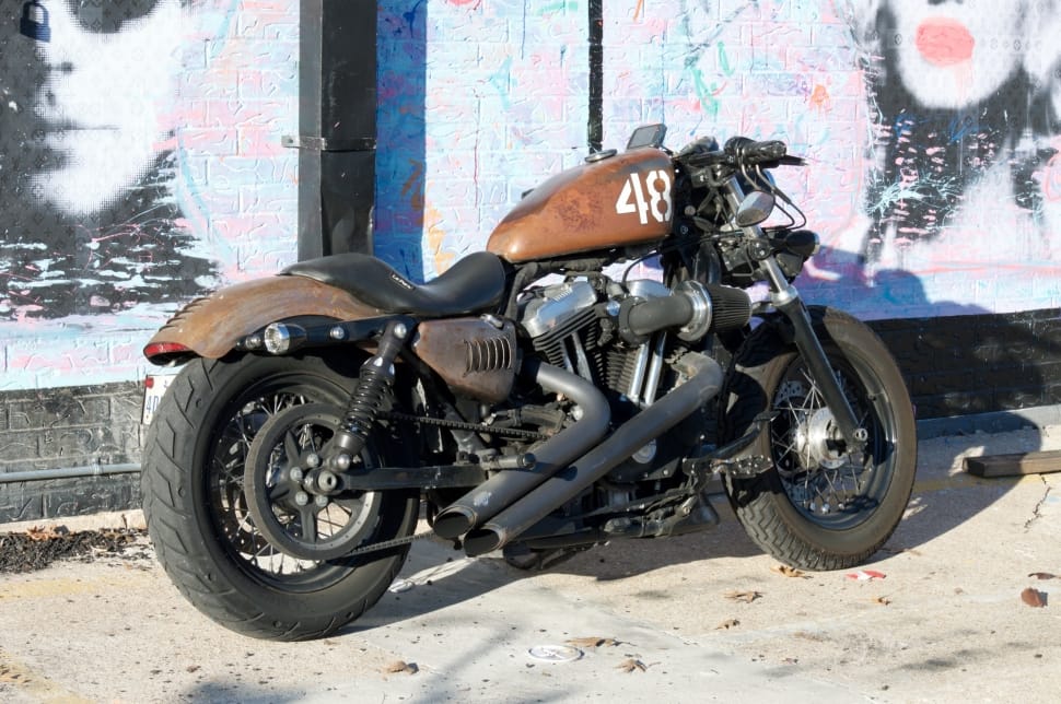 brown and black cruiser motorcyclke preview