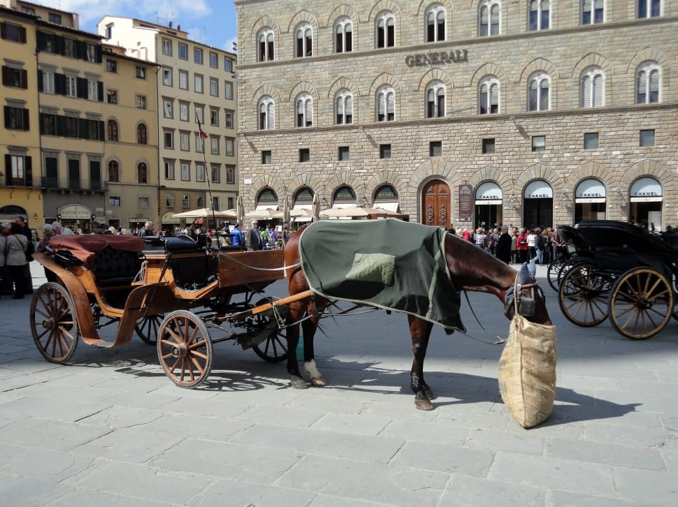 brown wooden carriage horse preview