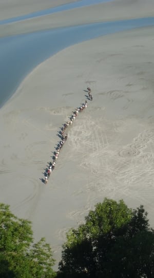 group of people in beach thumbnail