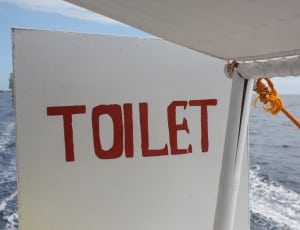toilet text thumbnail