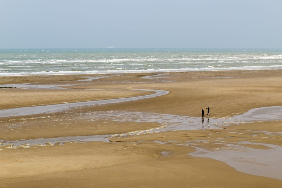 2 person standing on brown sand preview