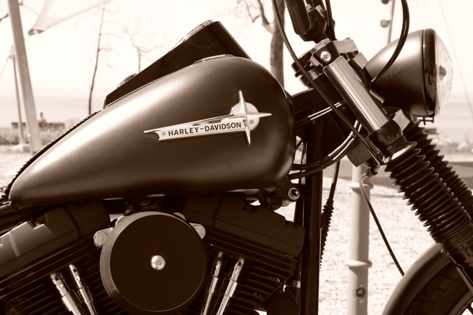 black harley davidson motorcycles preview