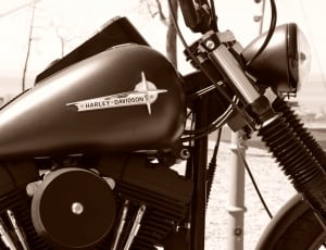 black harley davidson motorcycles thumbnail