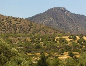 green trees and brown mountain thumbnail