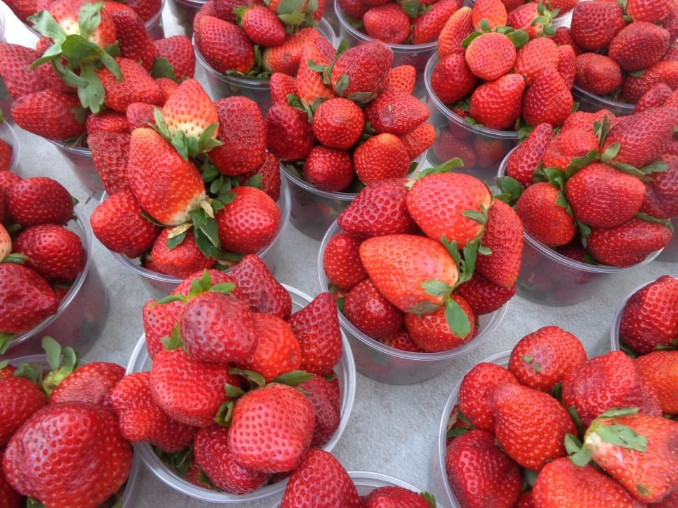 strawberries lot preview