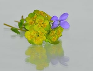 green and purple flower thumbnail