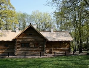 brown wooden cabin thumbnail