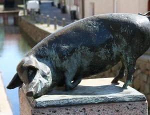 black pig metal sculpture thumbnail