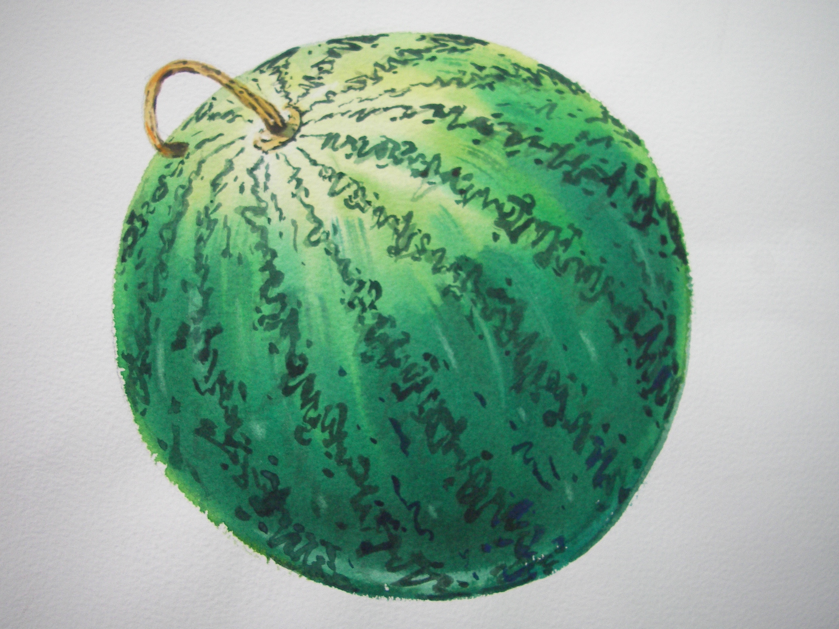 green watermelon