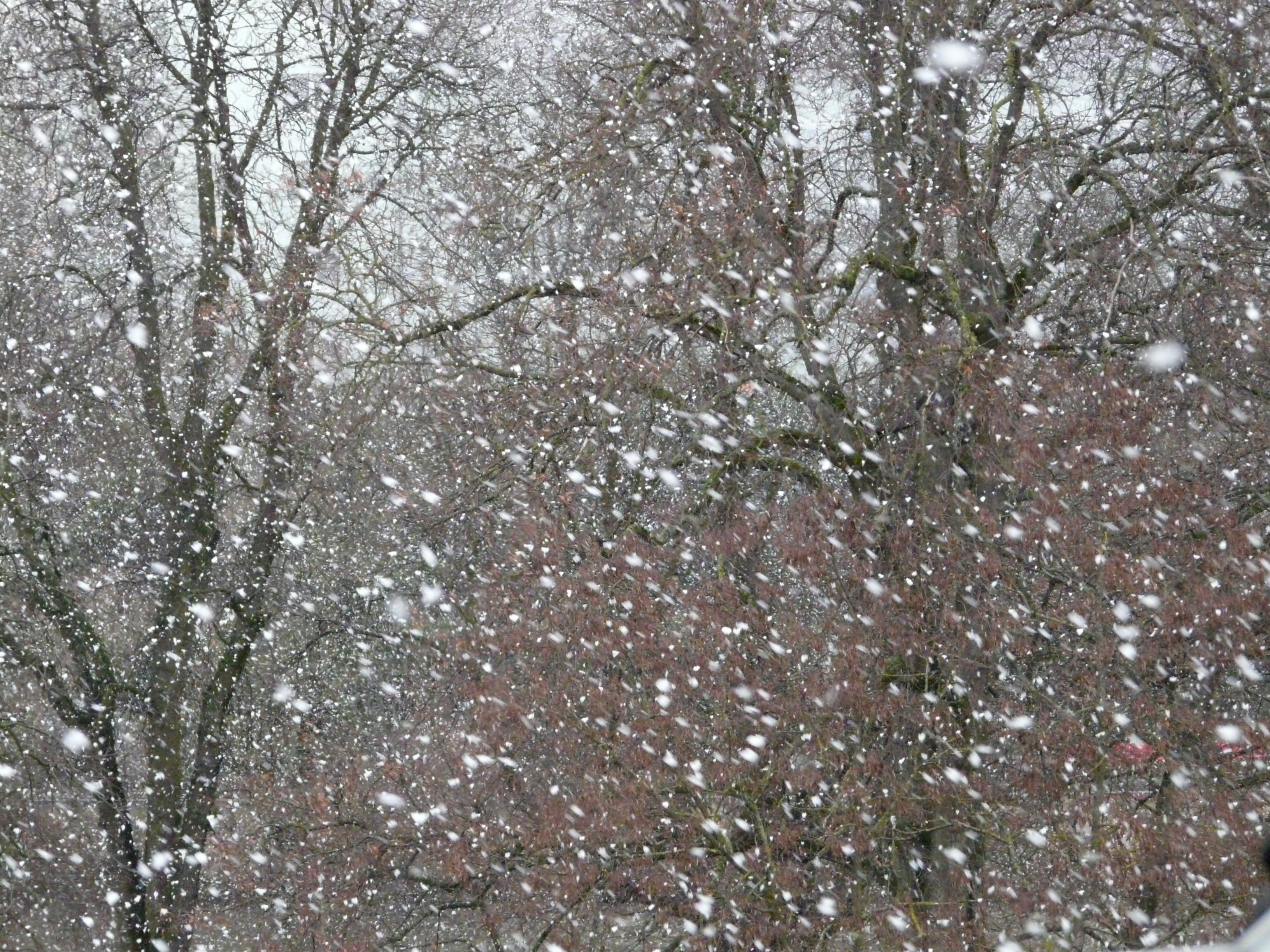 Сильный падающий снег