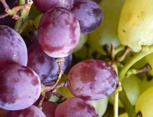 grapes fruit thumbnail