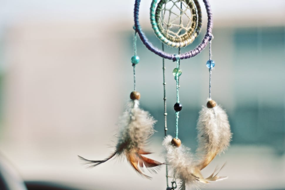 white and brown feathered dreamcatcher wall decor preview